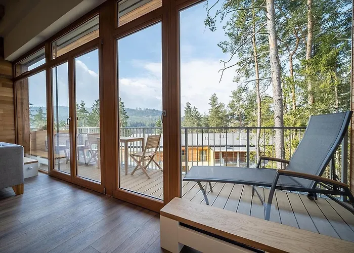 Lipno Port C304 - Lipno Apartment